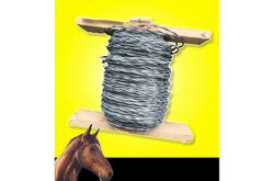 CYCLONE FRANCE_fil-cable-double-cloture-cheval_AnnoncesSecteurVert.com_ 2023_ASV